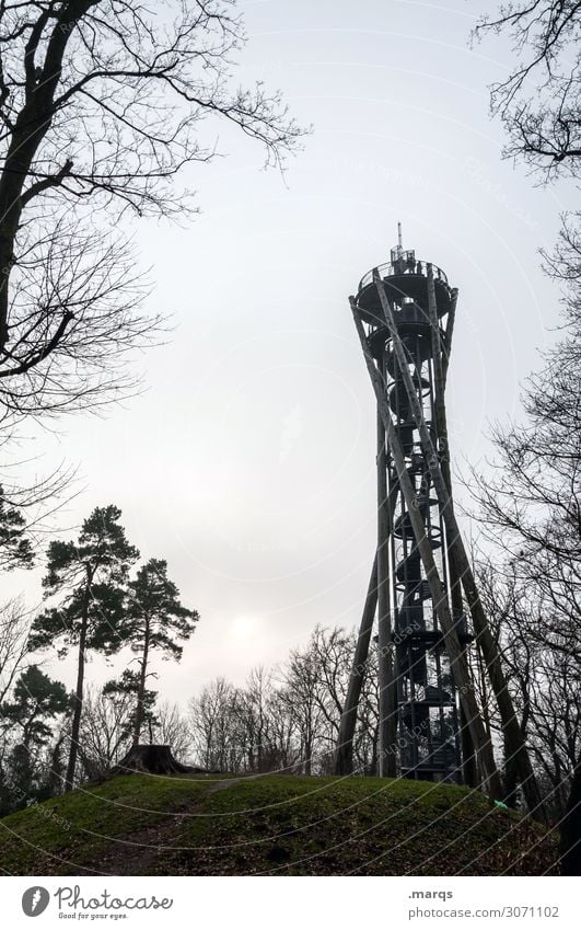 Schlossbergturm Tourismus Ausflug Wolkenloser Himmel Herbst Baum Wiese Hügel Freiburg im Breisgau Turm Bauwerk Aussicht hoch Wendeltreppe Farbfoto Außenaufnahme