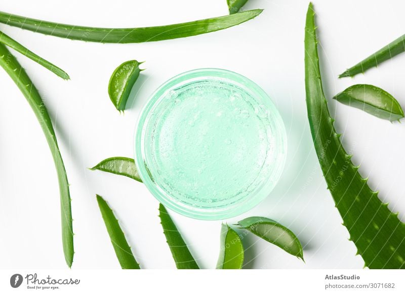 Komposition mit natürlichen Behandlungsaccessoires auf weißem Hintergrund, Nahaufnahme. Aloe Vera alternativ Gel Laubwerk Natur Medizin Blatt Ökologie Schönheit