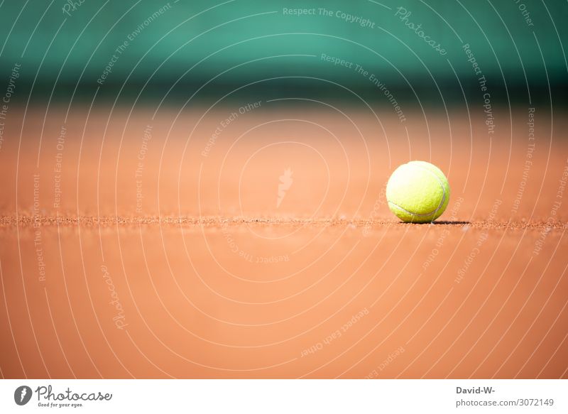 Tennis Sport Ballsport Sportmannschaft Tribüne Sportveranstaltung Erfolg Verlierer Sportstätten Leben Kunst Sonnenlicht Sommer Schönes Wetter heiß Tennisplatz