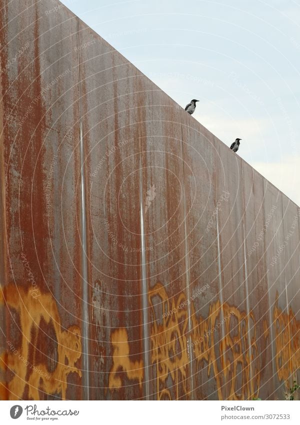 Die Vögel Stil Design Ferien & Urlaub & Reisen Tourismus Ausflug Sommer Stadt Ruine Gebäude Architektur Mauer Wand Tier Vogel 2 Stahl fliegen verrückt braun