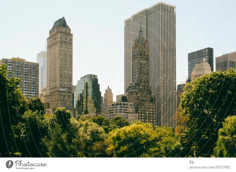 central park Umwelt Natur Wolkenloser Himmel Sommer Schönes Wetter Baum Park New York City Manhattan Central Park USA Stadt Stadtzentrum Menschenleer Hochhaus