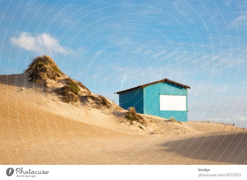 An der Düne 1 Ferien & Urlaub & Reisen Strand Häusliches Leben Traumhaus Natur Sand Himmel Wolkenloser Himmel Sonnenlicht Schönes Wetter Dünengras Hütte