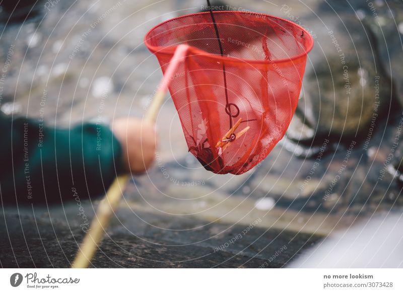 caught by surprise Angeln Kescher Küste Seeufer Bucht Nordsee Ostsee fangen festhalten Kindheit Natur Schweden Fangquote Meer Ferien & Urlaub & Reisen