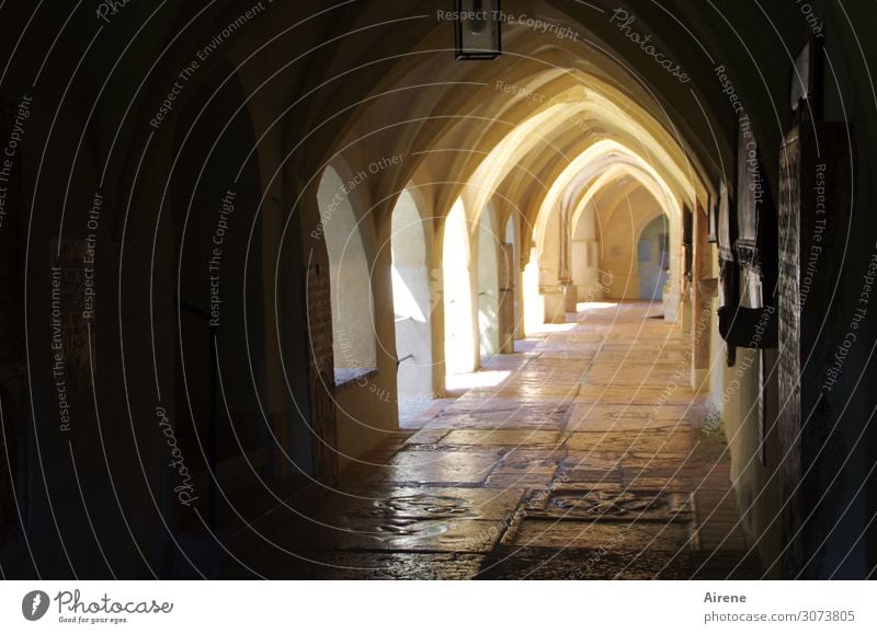 dem Licht entgegen Architektur Kirche Arkaden Kloster Sehenswürdigkeit Zeichen Ornament Grabstein Bogen Marmorboden Torbogen gehen hell historisch positiv braun