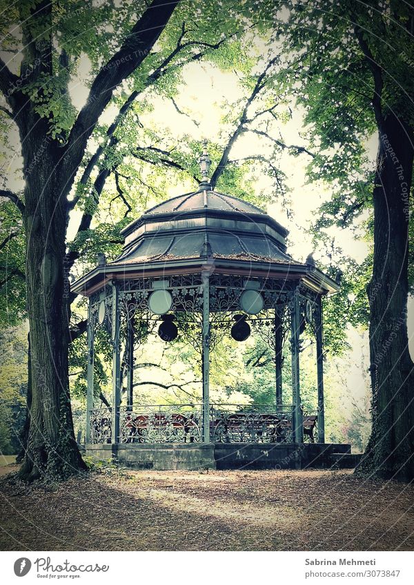 Pavillon Natur Sommer Baum Stuttgart Deutschland Europa Menschenleer Park laufen träumen ästhetisch Glück grün Verliebtheit Romantik ruhig Partnerschaft