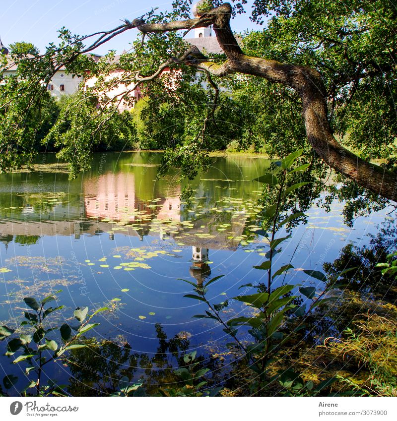 die Kirche im See Landschaft Wolkenloser Himmel Sommer Schönes Wetter Ast Seeufer Teich Dorf Turm Kloster Zwiebelturm Dorfkirche natürlich schön blau mehrfarbig