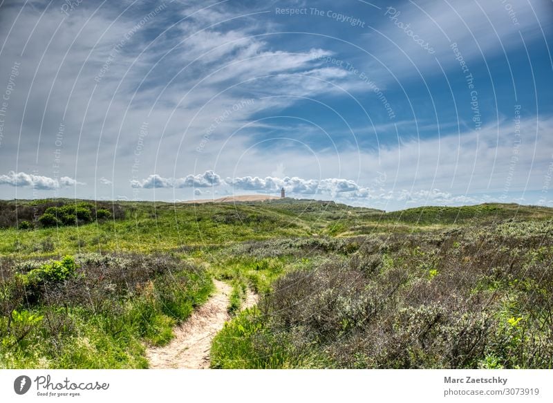 Denmark Dune Rubjerg Knude Fyr Lighthouse North Sea Erholung Ferien & Urlaub & Reisen Sommer Natur Sand gehen laufen wandern authentisch natürlich wild blau