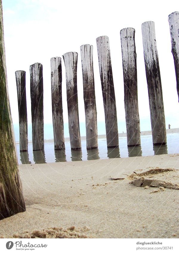 Strand Meer Holz Wasser