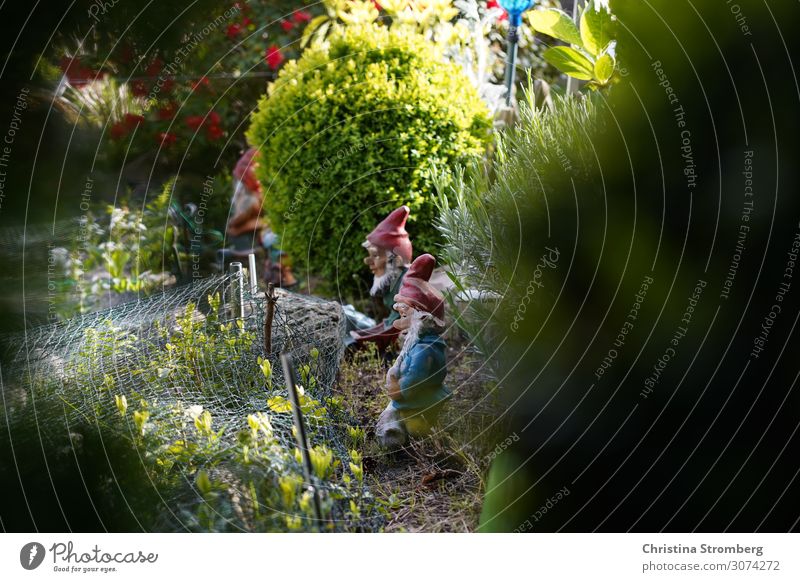 Gartenzwergereien Gartenarbeit Natur beobachten entdecken Fröhlichkeit fleißig Außenaufnahme