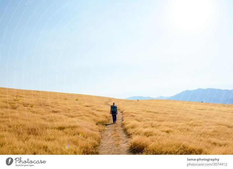 Golden Moment Ferien & Urlaub & Reisen Ausflug Abenteuer Ferne Freiheit Sommer Sommerurlaub wandern 1 Mensch Wolkenloser Himmel Sonnenlicht Schönes Wetter Dürre