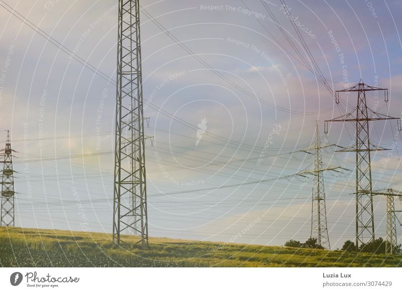 Sommerlicht, elektrisch Energiewirtschaft Umwelt Natur Landschaft Himmel Wolken Sonne Sonnenlicht Schönes Wetter Gras Feld Stadtrand Menschenleer Strommast