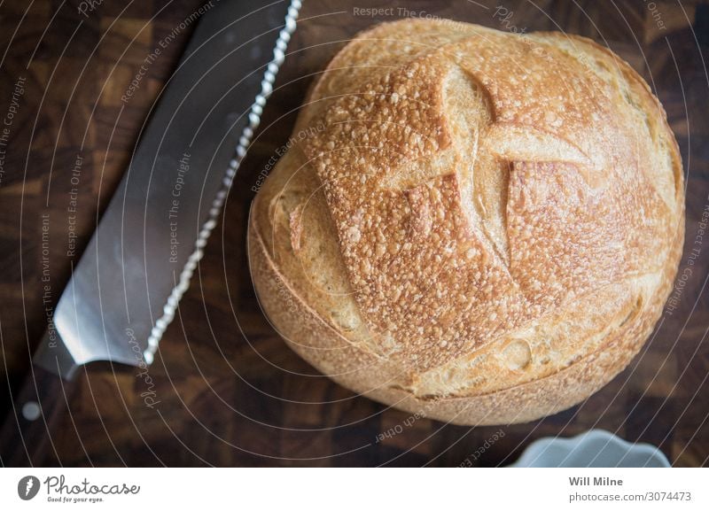 Frisch gebackenes Brot und ein Messer Tafelmesser Bäcker frisch Sauerteig geschnitten Schneidewerkzeug Schneidebrett Küche Belegtes Brot Essen zubereiten