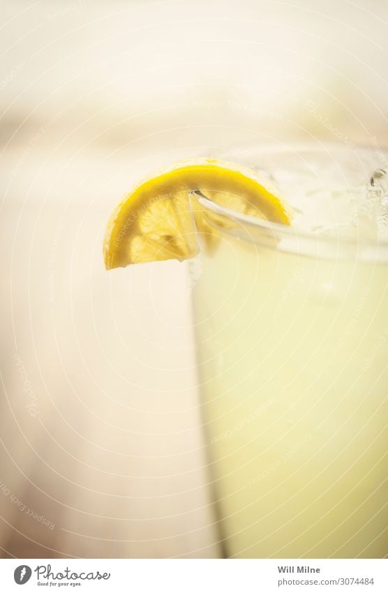 Limonade mit einer Zitronenscheibe Getränk trinken kalt Sommer gelb Zitrusfrüchte Glas Nahaufnahme