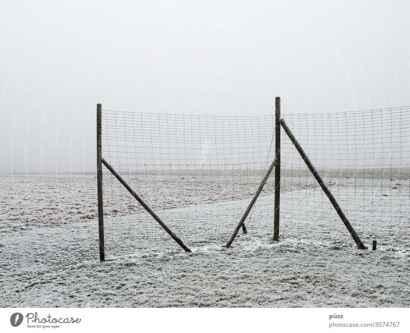 Zaun Umwelt Natur Landschaft Erde Himmel Winter schlechtes Wetter Nebel Eis Frost Schnee Feld Holz kalt weiß Traurigkeit Einsamkeit Endzeitstimmung Ferne