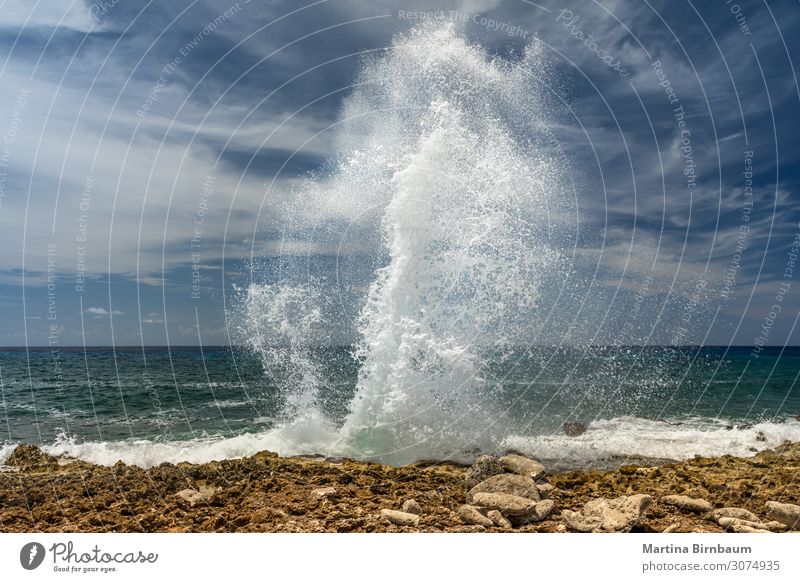 Blaslöcher an der Küste von Grand Cayman Island schön Ferien & Urlaub & Reisen Sommer Strand Meer Insel Natur Landschaft Himmel Wetter Felsen natürlich blau