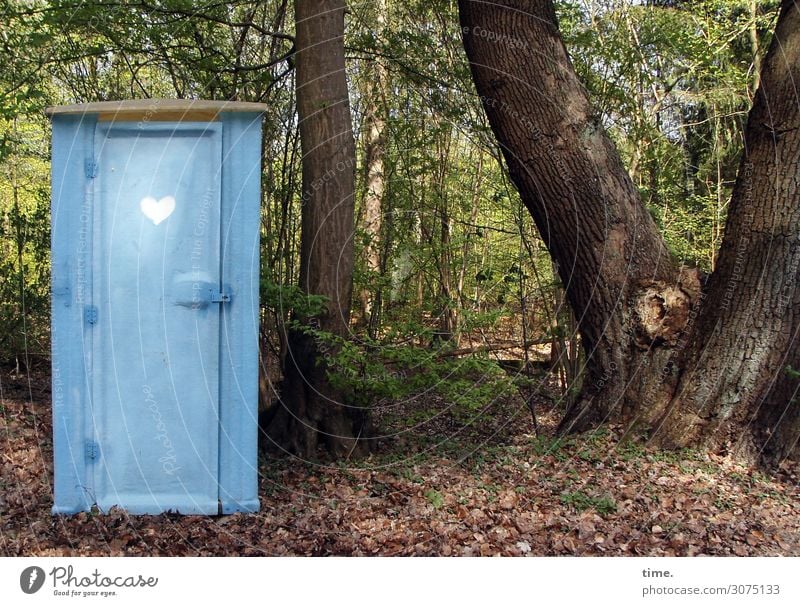 Gute Stube natur baum busch bewuchs gelb hinweis regel stilisiert disziplin ordnung orientierung blau wc klo toilette outdoor örtchen herz hellblau