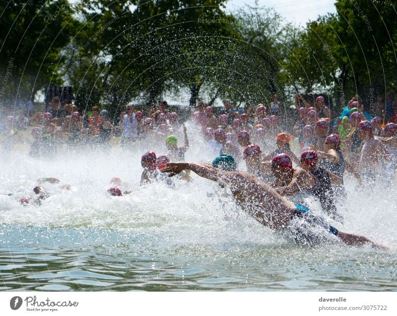 Dive Sommer Sport Fitness Sport-Training Wassersport Sportler Sportveranstaltung Schwimmen & Baden See Mensch maskulin Körper Menschenmenge Sonnenlicht nass