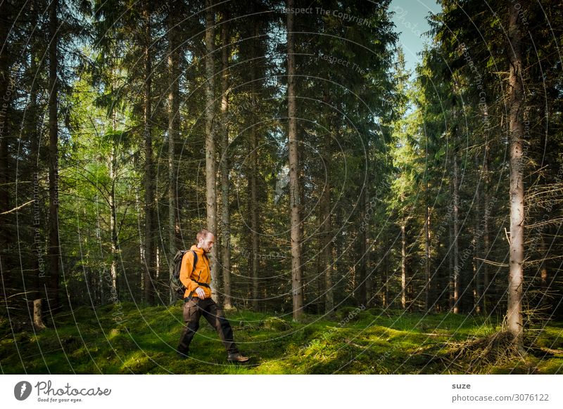 Aufzack! Gesundheit ruhig Ferien & Urlaub & Reisen Ausflug Abenteuer Freiheit Sommerurlaub wandern Mensch maskulin 1 30-45 Jahre Erwachsene Umwelt Natur