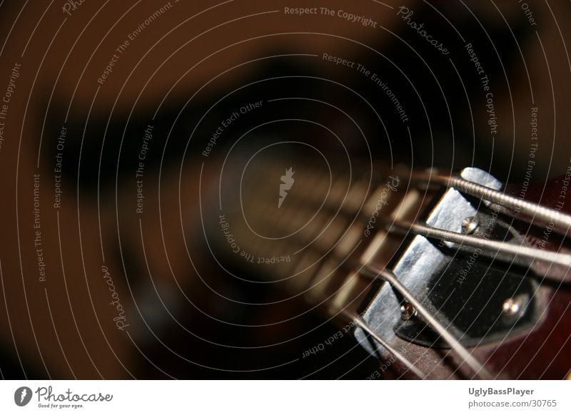 Bass? Saite Freizeit & Hobby Kontrabass Gitarre Musik Detailaufnahme Griffbrett Bündel