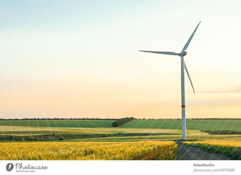 Windturbine und schöne Felder bei Sonnenuntergang, Platz für Text Mühle alternativ Natur Ökologie Wiese Panorama regenerativ Ackerbau Morgen Pflanze