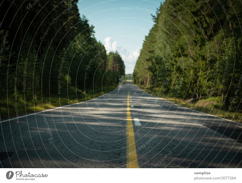 Endlose leere Straße in Finnland Umwelt Natur Himmel Horizont Klima Baum Wald Verkehr Verkehrsmittel Verkehrswege Ziel Menschenleer fahren Nadelwald gerade