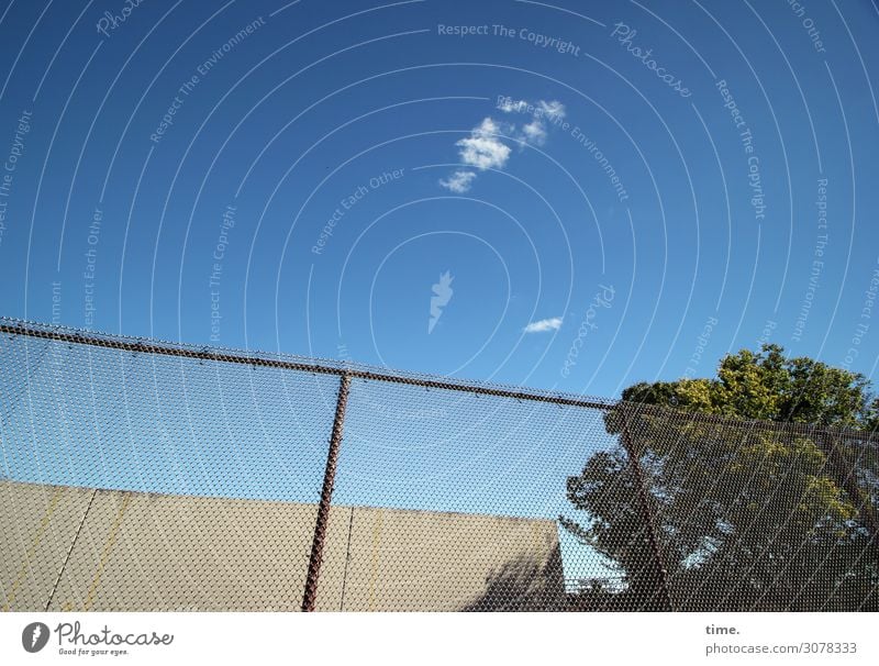 Tatzenwölkchen Himmel Wolken Herbst Schönes Wetter Baum New York City Bauwerk Gebäude Zaun hoch Sicherheit Schutz Warmherzigkeit Wachsamkeit diszipliniert