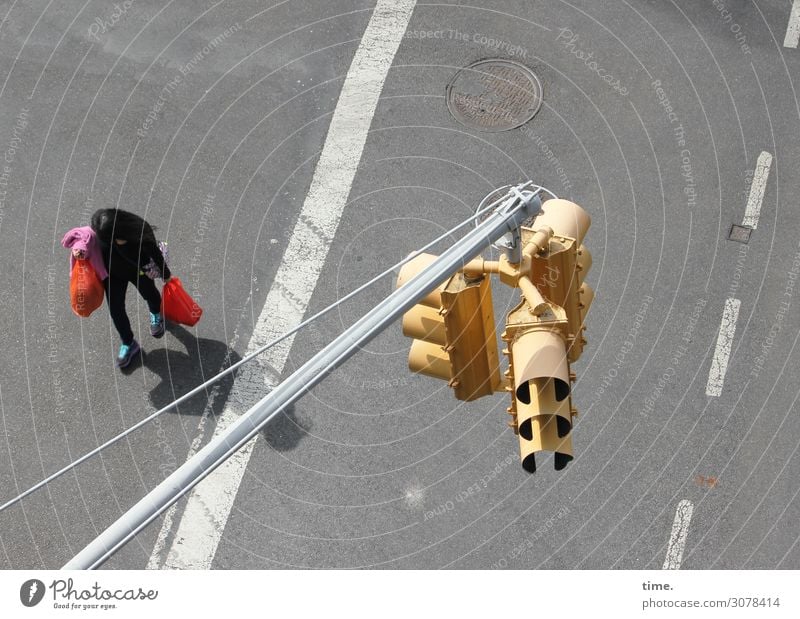 business as usual | on the road again feminin Frau Erwachsene 1 Mensch Verkehr Verkehrswege Personenverkehr Fußgänger Straße Wege & Pfade Ampel Asphalt