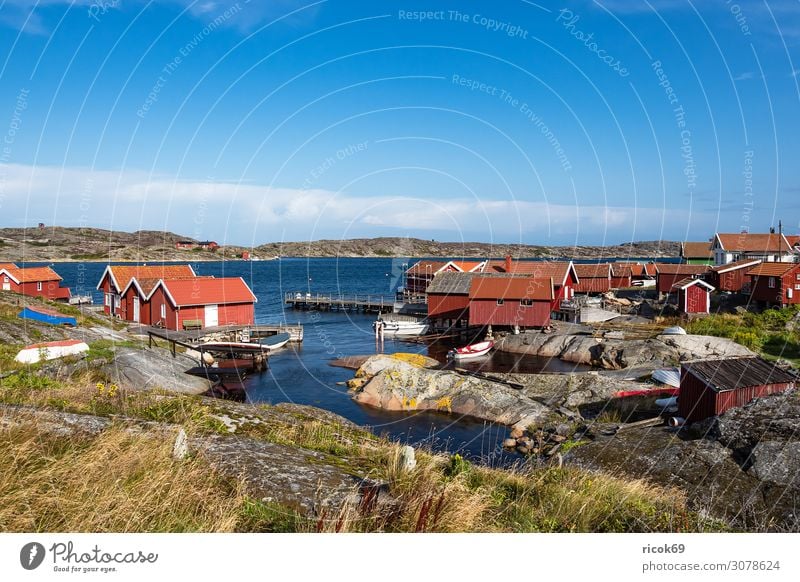 Blick auf die Insel Käringön in Schweden Erholung Ferien & Urlaub & Reisen Tourismus Sommer Meer Haus Natur Landschaft Wasser Wolken Felsen Küste Nordsee Dorf