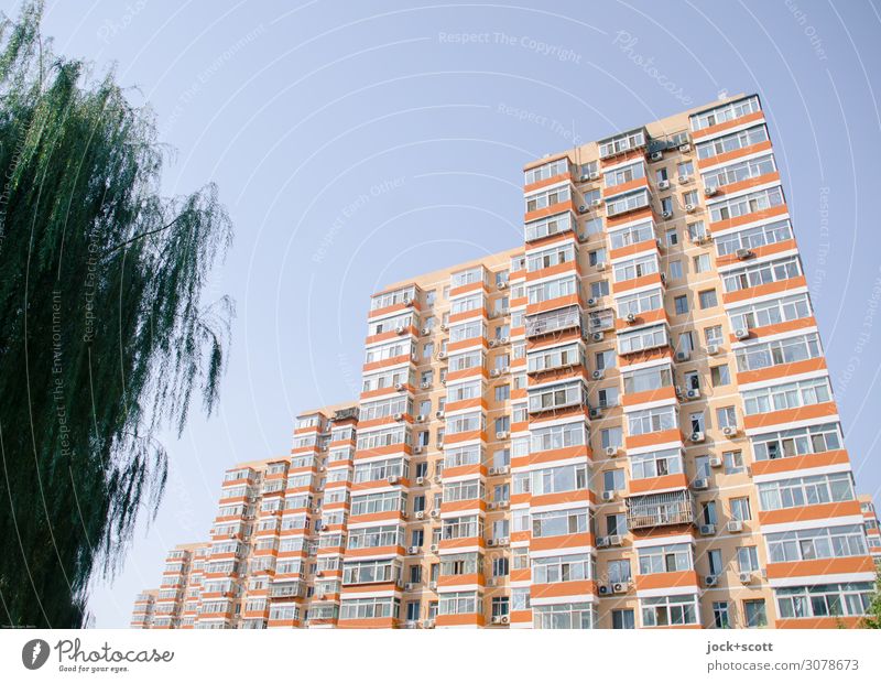 Schöner wohnen +grün Wolkenloser Himmel Baum Peking Architektur Wohnhochhaus Fassade authentisch eckig retro Schutz Stil Umwelt Gebäude Abstufung Illusion