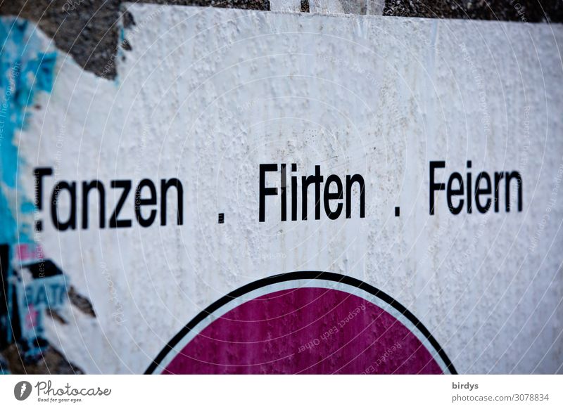 Tanzen Flirten Feiern, Werbeplakat, Schrift Nachtleben Party ausgehen Feste & Feiern Plakat Schriftzeichen authentisch Zusammensein kaputt Originalität positiv