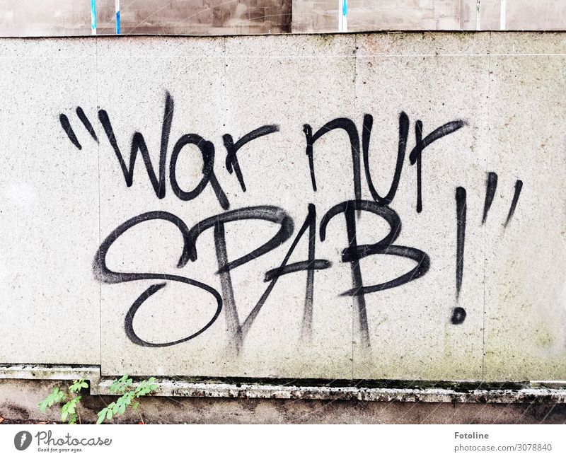 "War nur Spaß" Umwelt Natur Pflanze Sommer Sträucher Grünpflanze Mauer Wand Fassade hell klein natürlich grau grün schwarz Schriftzeichen Buchstaben Freude