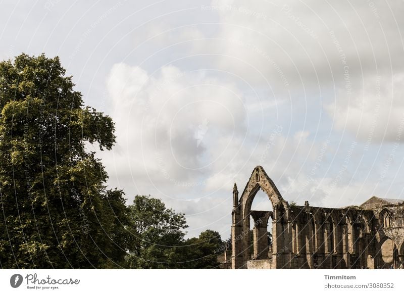 Bolton Abbey Ferien & Urlaub & Reisen Umwelt Himmel Schönes Wetter Baum Großbritannien Kirche Ruine Mauer Wand Sehenswürdigkeit Stein alt ästhetisch kaputt blau