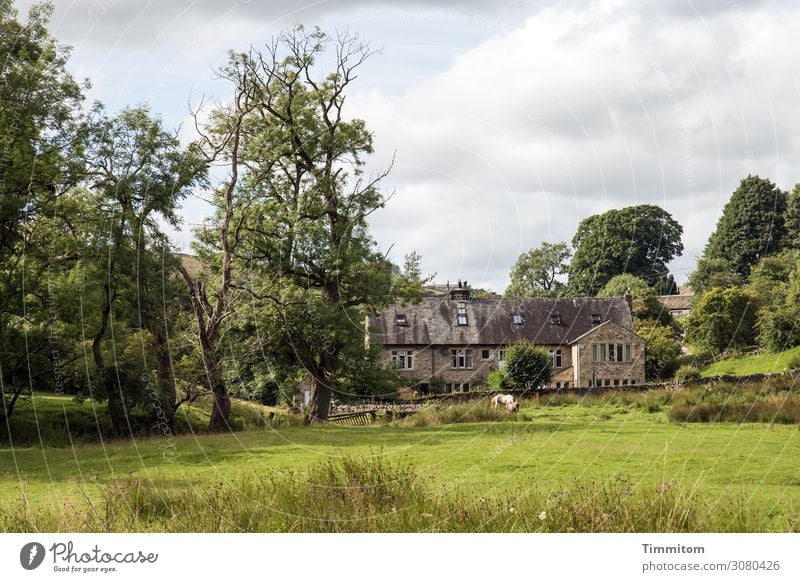 Landgut Ferien & Urlaub & Reisen Umwelt Natur Pflanze Himmel Schönes Wetter Baum Gras Garten Park Großbritannien Haus Wege & Pfade ästhetisch natürlich blau