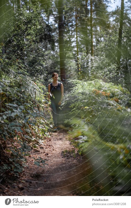 #A2# In der Natur Umwelt Landschaft ästhetisch Naturschutzgebiet Naturliebe Naturerlebnis Sächsische Schweiz grün Wald Fußweg wandern Wandertag Wanderausflug