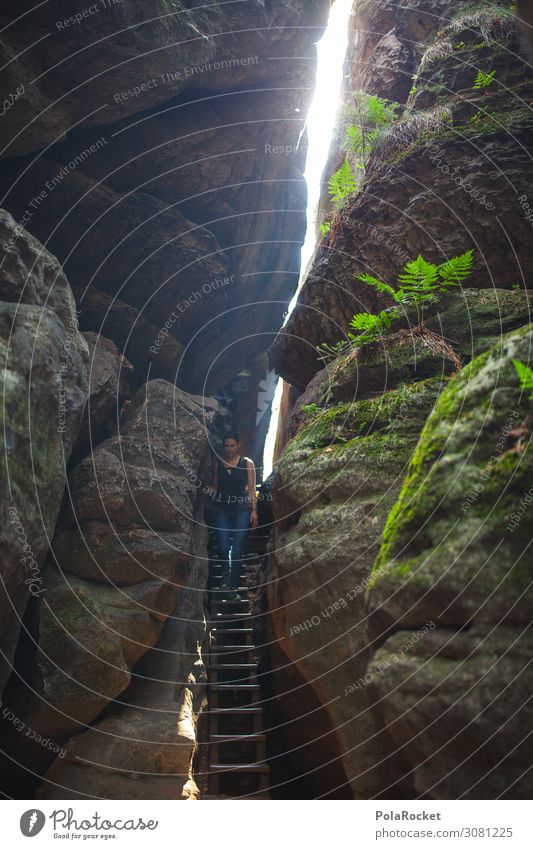 #A2# Wandertag Umwelt Natur Landschaft ästhetisch Sächsische Schweiz wandern Treppe Berge u. Gebirge Außenaufnahme Naturschutzgebiet Naturliebe Schlucht