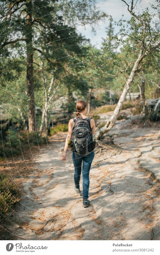 #A2# enjoying nature Umwelt Natur Landschaft Pflanze ästhetisch wandern Wandertag Wanderausflug Sächsische Schweiz Berge u. Gebirge Gipfel Naturschutzgebiet