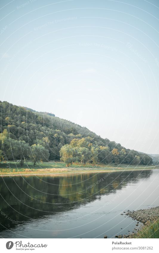 #A# Elbtal Umwelt Natur Landschaft ästhetisch Naturschutzgebiet Naturphänomene Naturliebe Naturerlebnis Elbe Sächsische Schweiz Farbfoto Gedeckte Farben