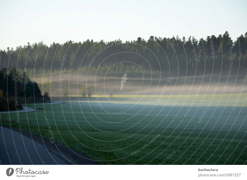 on the road again | an einem nebligen Herbstmorgen Natur Landschaft Himmel Nebel Wiese Wald Straße kalt Stimmung Beginn Horizont Klima Wege & Pfade Farbfoto