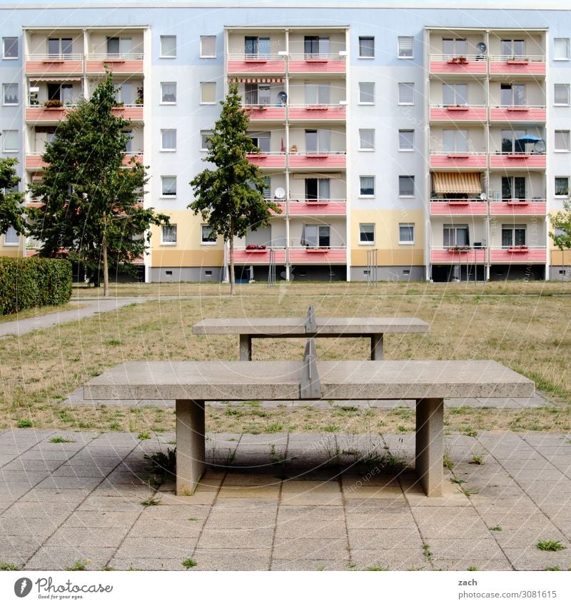 Plattenbau Sport Tischtennisplatte Sportstätten Baum Wiese Senftenberg Kleinstadt Stadt Stadtzentrum bevölkert Menschenleer Haus Hochhaus Mauer Wand Fassade