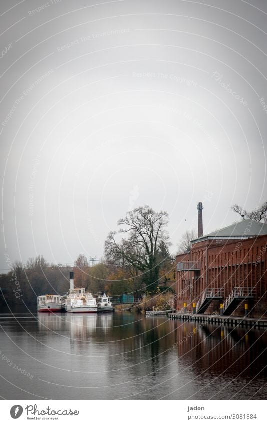 am fluss. ruhig Ferien & Urlaub & Reisen Tourismus Kreuzfahrt Wasser Himmel Baum Flussufer Traumhaus Gebäude Schifffahrt Binnenschifffahrt Passagierschiff