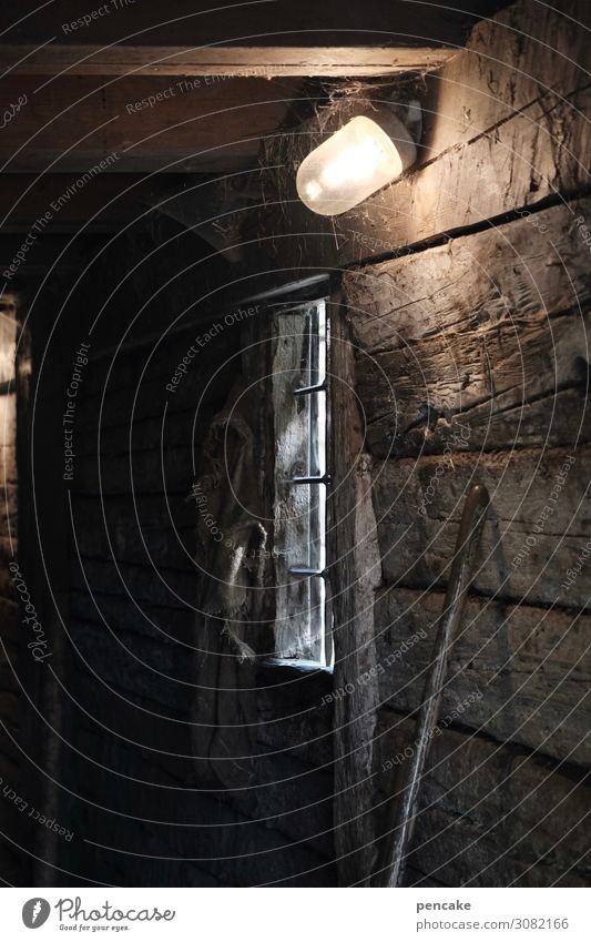 dark side of allgäu Natur Haus Gebäude Holz dreckig dunkel Stall Lampe Bauernhof Fenster Gang Balken Glühbirne Arbeit & Erwerbstätigkeit Viehhaltung Besenstiel