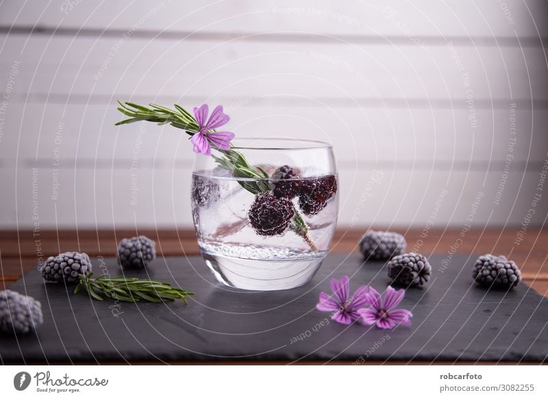 Gin Tonic Frucht Getränk Alkohol Reichtum elegant Sommer Feste & Feiern grün rosa rot schwarz weiß Brombeeren vereinzelt Cocktail Glas trinken Eis kalt Wasser