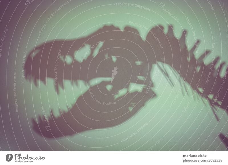 Dinosaurier T. rex Silhouette Kindererziehung Bildung Wissenschaften Erwachsenenbildung Kindergarten Schule lernen Tier Schattenspiel T.rex 1 Tierjunges