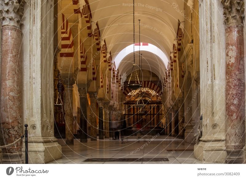 Columns and candlesticks in the Mezquita in Cordoba Kirche Dom Palast Burg oder Schloss Sehenswürdigkeit Religion & Glaube Andalusia Holiday Moshe Spain