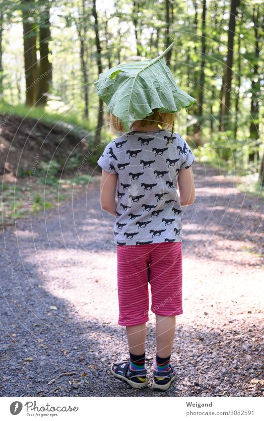 Waldfee Ferien & Urlaub & Reisen Abenteuer Sommer Sommerurlaub Kindererziehung Kindergarten lernen Mädchen Kindheit Spielen Freundlichkeit Fröhlichkeit frisch