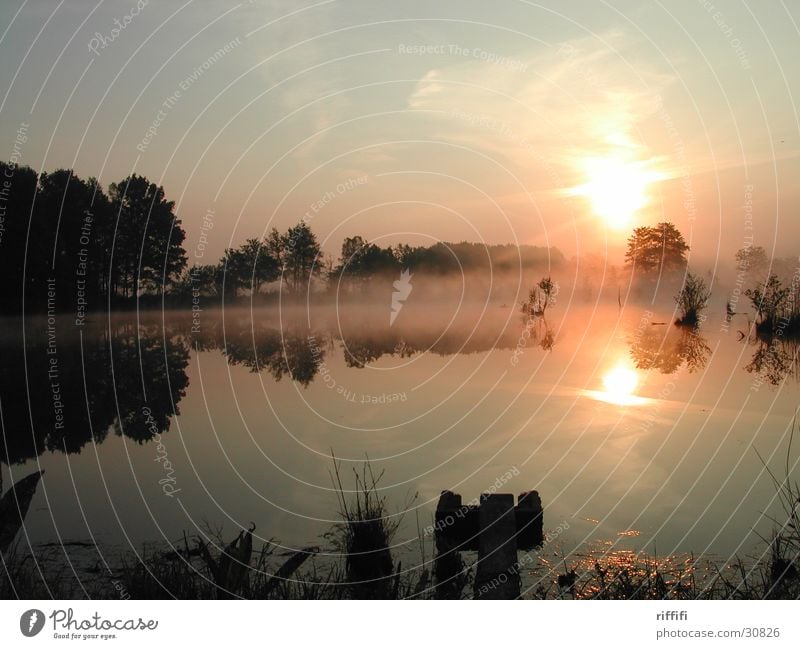 Morgenstimmung See Sonnenaufgang ruhig Nebel Reflexion & Spiegelung Wolken Morgendämmerung