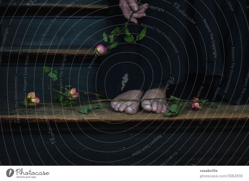 verlorene Liebe | Weltschmerz Frau Erwachsene Blume Treppe Traurigkeit weinen dunkel schwarz Gefühle Trauer Tod Schmerz Enttäuschung Einsamkeit Trennung