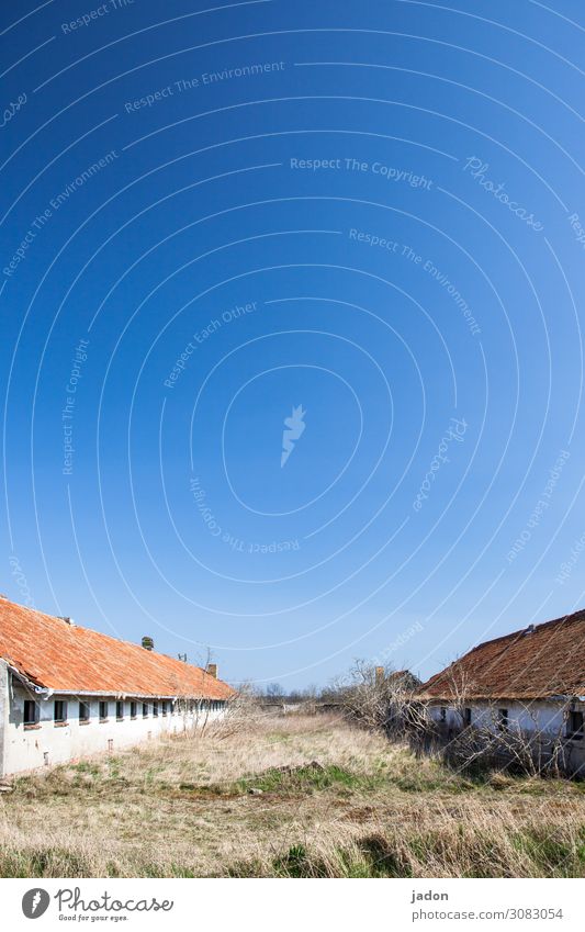 bauernhofurlaub. Stall Landwirtschaft Forstwirtschaft Feierabend Umwelt Wolkenloser Himmel Schönes Wetter Gras Sträucher Feld Dorf Menschenleer Hütte Ruine