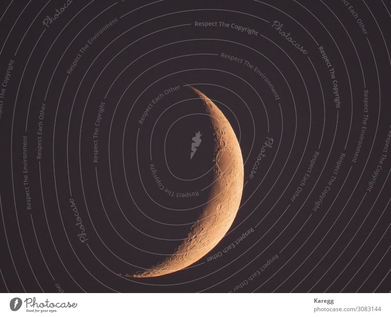 an increasing crescent moon stands in the evening sky Veranstaltung Natur Sonnenfinsternis Mond Mondfinsternis beobachten fantastisch braun gold science night