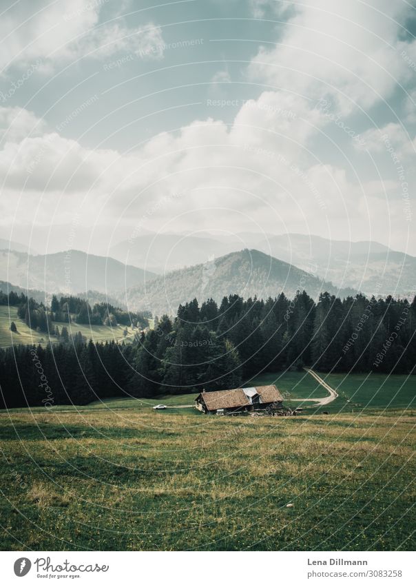 201809 Berge #2 Berge u. Gebirge Natur Tier Himmel Wolken Sonnenlicht Sommer Schönes Wetter Gras Wald Alpen mehrfarbig ruhig Allgäu Berghütte Bauernhof Aussicht